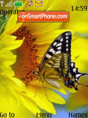Butterfly Animated Captura de pantalla